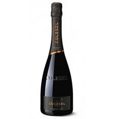 Prosecco Colesel Noai Brut...