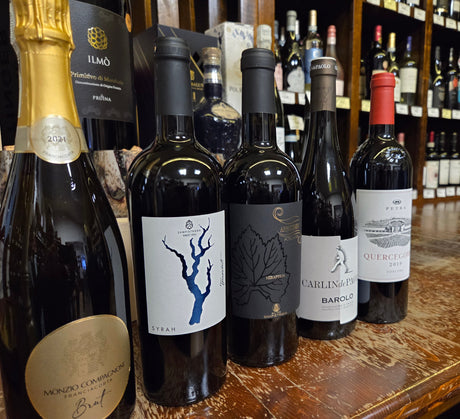 Calatorie prin Italia - 13.11.2025