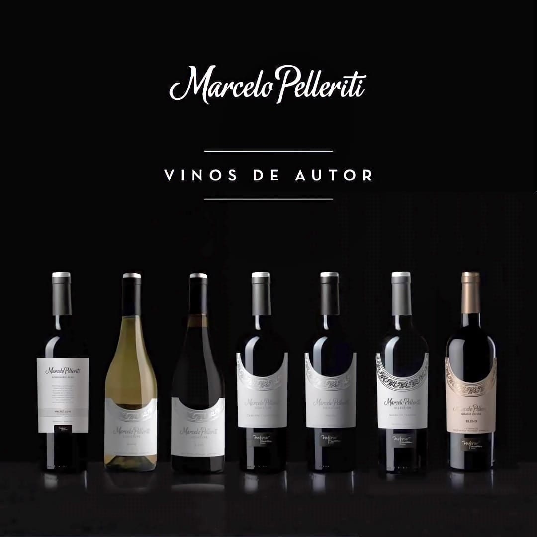 Degustari vinuri – Argentina Pelleriti Priore - 21.11.2024