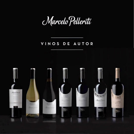 Degustari vinuri – Argentina Pelleriti Priore - 21.11.2024