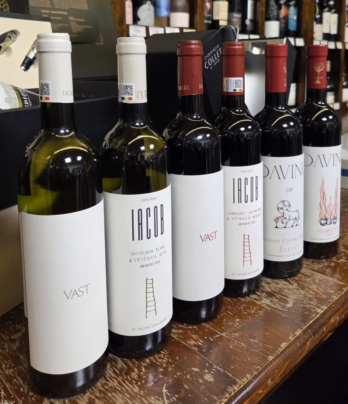 Degustare Crama DAVINO