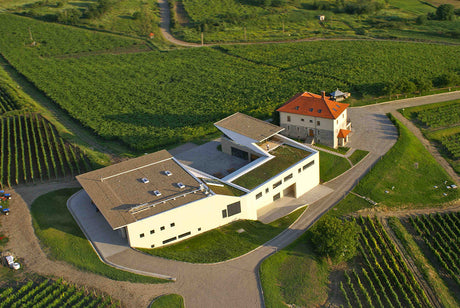 Degustare de vinuri Lacerta Winery - 26.02.2026