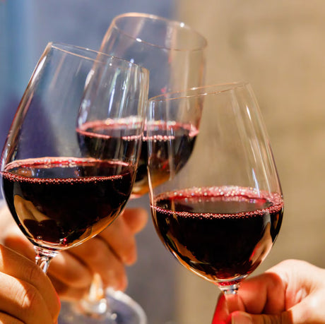 Degustare premium | Italia – Chile – Argentina - 12.03.2026