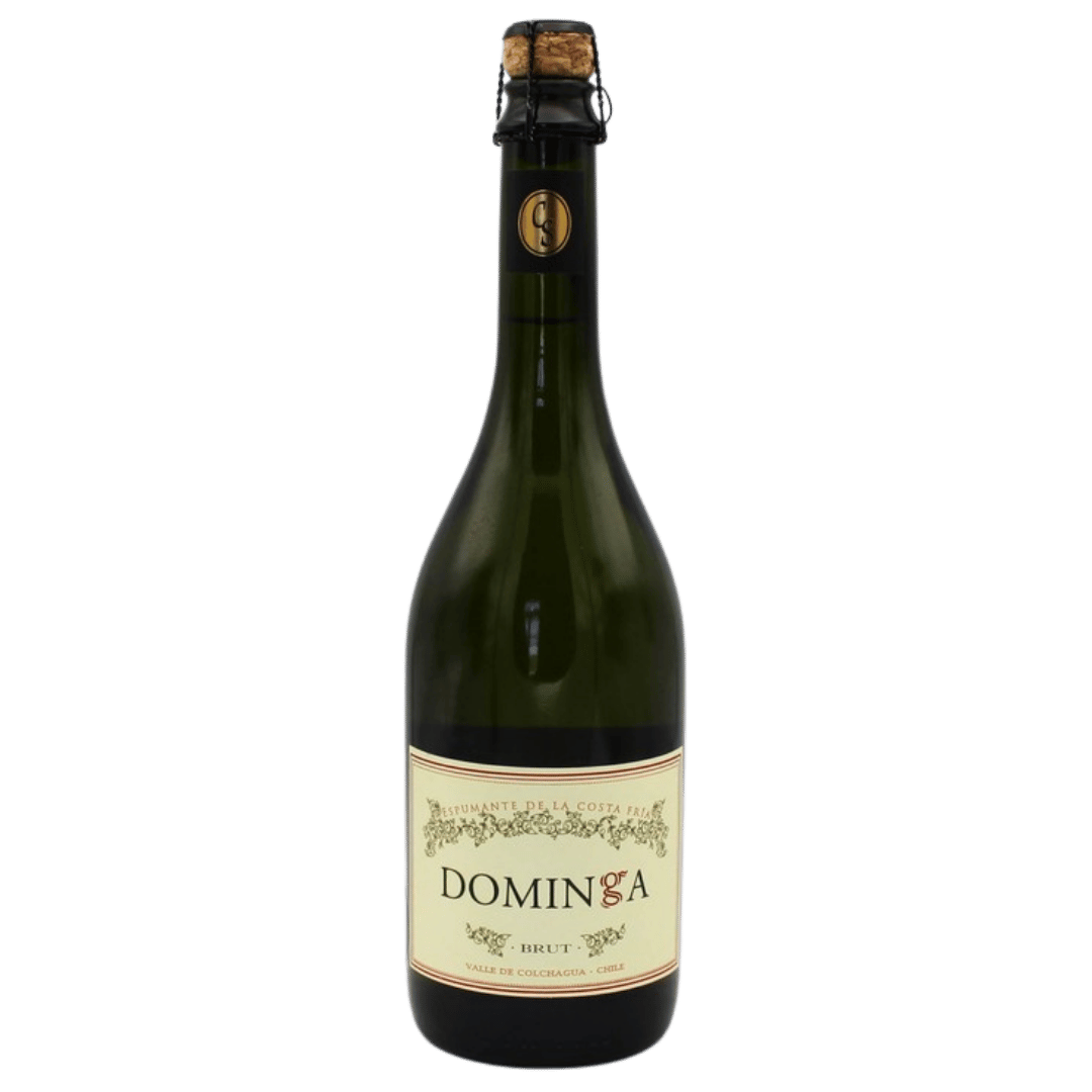 Chile Spumant Dona Dominga Brut, vin spumant alb cu perlaj fin și arome de citrice din Vale Colchagua