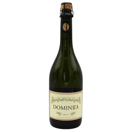 Chile Spumant Dona Dominga Brut, vin spumant alb cu perlaj fin și arome de citrice din Vale Colchagua