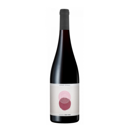 Franta  Sophie Schaal Pinot Noir 0.75L 12.5% SGR