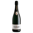 Italia Ferrari Spumant Brut, vin spumant sec din regiunea Trento, cu perlaj delicat și arome de mere și citrice.