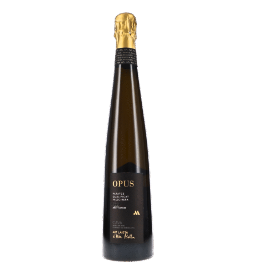 Alta Alella Cava Mirgin Opus, vin spumant din Catalonia, din Chardonnay și Xarello, ideal pentru momente festive.